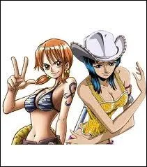 Quelles sont les deux femmes qui font partie de l'quipage de Luffy ?
