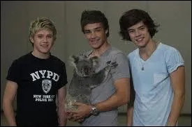 Qui chante  If i'm louder would you see me ...   ?