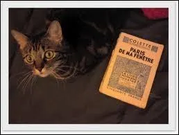 Ce qui est concret, terre  terre ... ...