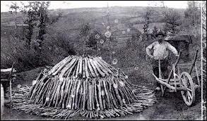  ---------est matre chez soi  signifie que toute personne, aussi humble soit-elle, a le droit de commander dans sa propre maison.