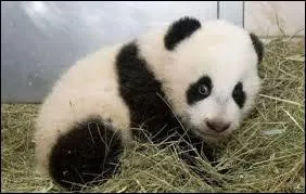 Vous avez reconnu celui-là !