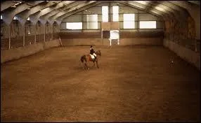 Quelle lettre ne fait pas partie du mange ?