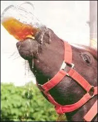 Le cheval peut-il vomir ?