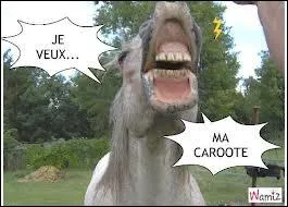 Un cheval est nerv quand :