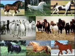 Qu'est-ce qu'une transition montante ?