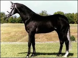 Il mesure entre 1, 62 et 1, 72 m. Comment s'appelle-t-il ?