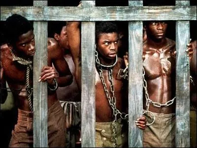 Cette srie bouleversa l'Amrique, en racontant pour la premire fois sans concession la ralit de l'esclavage des africains amens par les ngriers en Amrique du Nord...