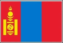 A quel pays appartient ce drapeau ?