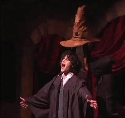 Pourquoi le choipeaux n'est pas l dans AVPM ?