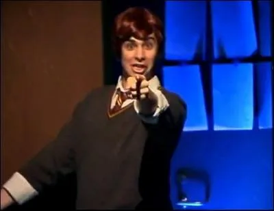 D'aprs Ron qu'est-ce qui te fait passer pour un idiot ? (AVPM)