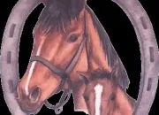 Quiz Galop 2 , soins