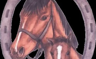 Quiz Galop 2