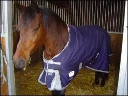 Toutes les couvertures ont-elles un surfaix ?