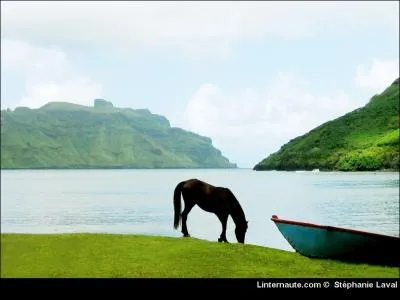 Avec quoi graisse-t-on les cuirs ?