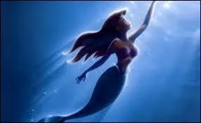 Quant  cette autre belle sirne, toujours une rousse, elle vit dans... ?