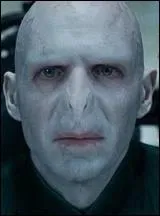 Pour quelle raison le mage noir a-t-il choisi de s'appeler Voldemort ? 