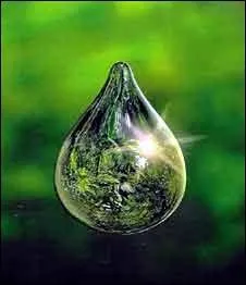 Le vent et la fort qui (... )