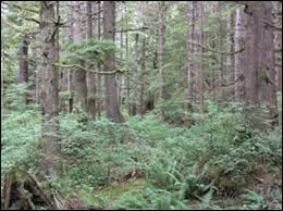 Dans quelle ville habite le pre de Bella ? 