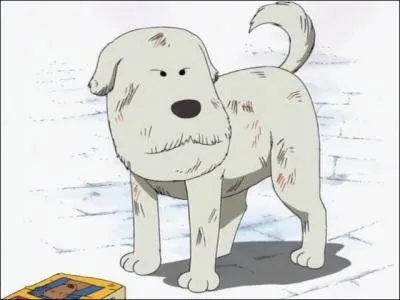 Comment s'appelle le chien protg par Buddle ?