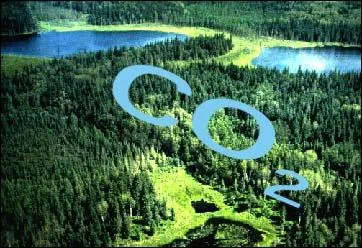 Quel pays est signataire du protocole de Kyoto sur la rduction des gaz  effets de serre mais, refuse de le ratifier ?