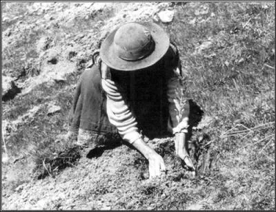 L'agriculture sur brlis :