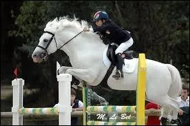 En quelle discipline est-il particulirement utilis ?