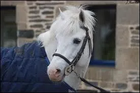 D'o vient le nom   connemara   ?