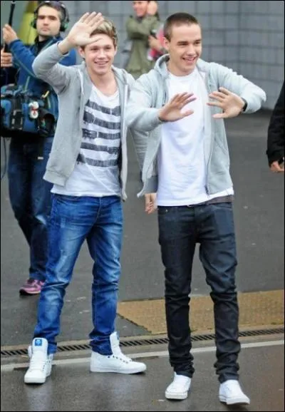 Qui a auditionn  X factor avec la chanson  Isn't She Lovely  ?