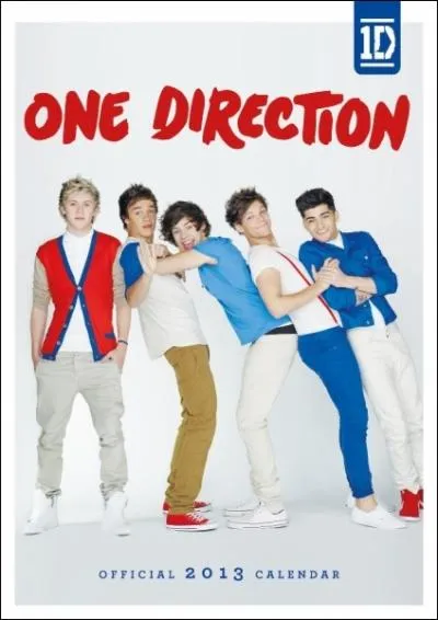 Quand vont-il sortir leur album Take Me Home ?