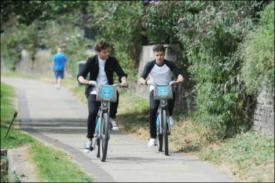 Qui a peur des oiseaux ?