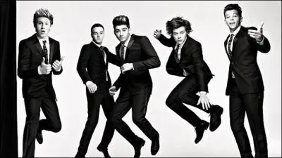 Qui du groupe a compos  More Than This  ?