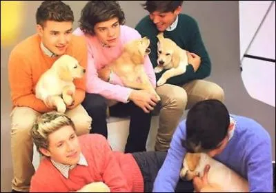 Qui est l'idole de Niall James Horan ?