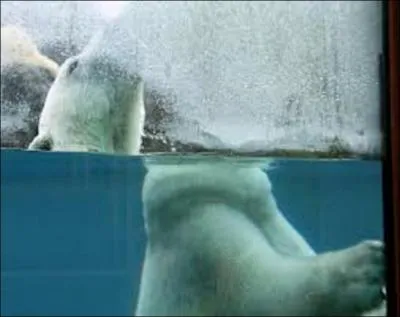 Cette image n'est pas truque, ce phnomne de rfraction est d au fait que la vitesse de la lumire est diffrente dans l'eau et dans l'air. Mais quelle est la vitesse de la lumire dans l'eau ?