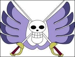 A qui appartient ce drapeau ?