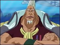 Quel est ce personnage ?