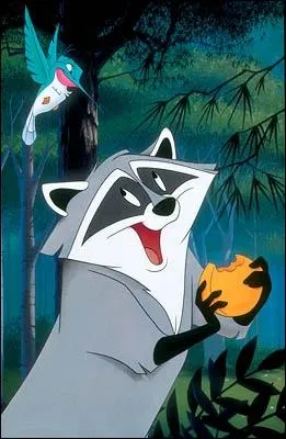 Comment s'appelle le raton laveur dans Pocahontas ?