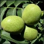 Quels sont ces fruits ?