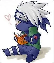 Quel est le nom de ce liseur ?