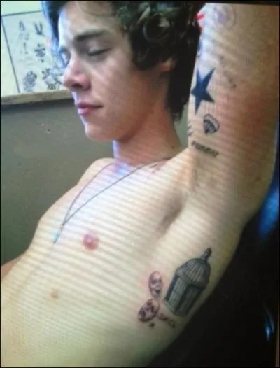 Combien de tatouages a Harry ?