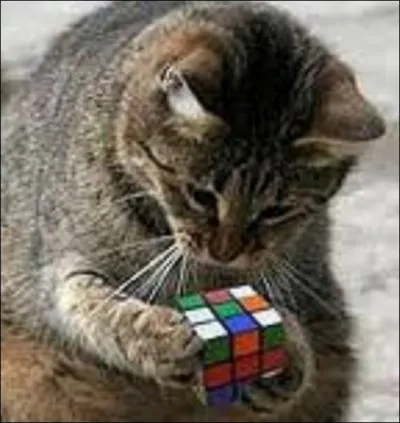 Combien existe-t-il de combinaisons possibles d'agencement d'un Rubik's Cube ?