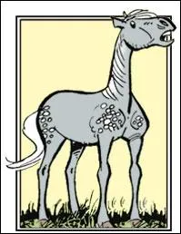 Comment s'appelle le cheval de Blutch dans les Tuniques Bleues ?