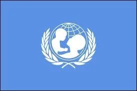 De quelle association est-elle devenue ambassadrice en 2008 ?