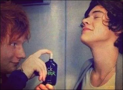 Quels surnoms Ed Sheeran et lui se donnent-il ?