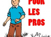 Quiz Tintin pour les Pros