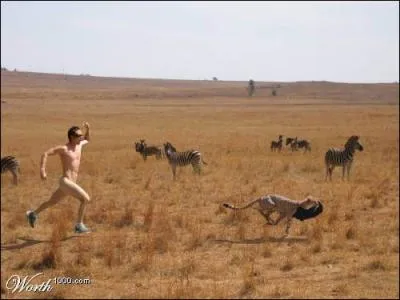 Marielle et Girardot se rencontrent grce aux petites annonces...