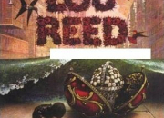 Quiz Pochettes des albums de Lou Reed