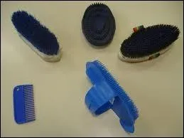 Quelle brosse passe-t-on en premier sur le cheval ?