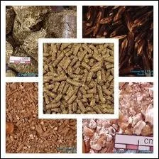 Une mauvaise alimentation influence la qualit de la corne.