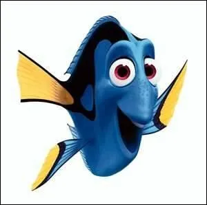 Cochez ce qui correspond  Dory :