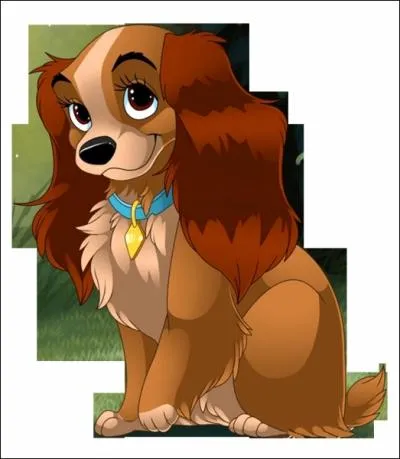 Cochez ce qui correspond  Lady ?